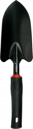 Изображение Dedra opatka szeroka