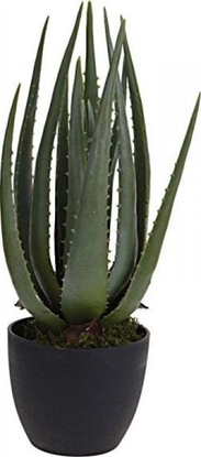Picture of Dekoracja domu Sztuczny Aloes w donicy 45 cm