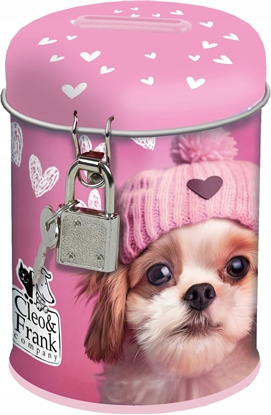 Picture of Derform Skarbonka z kódk Cleo i Frank 42 Pies