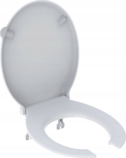 Picture of Deska sedesowa 502.791.00.1 / GEBERIT / SELNOVA COMFORT / DESKA SEDESOWA, Z OTWARTYM SIEDZISKIEM, MOCOWANIE OD DOU, ZAWIASY METALOWE, ANTYBAKTERYJNA /