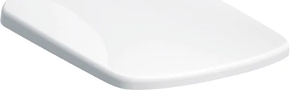 Picture of Deska sedesowa Geberit Geberit Selnova Compact Deska sedesowa, mocowanie od góry, ksztat geometryczny, wolne opadanie, zachodzca pokrywa deski sedesowej, antybakteryjna [36]