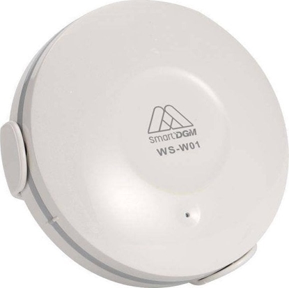 Picture of DGM DGM WS-W01