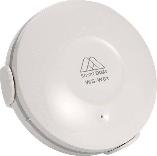 Изображение DGM DGM WS-W01