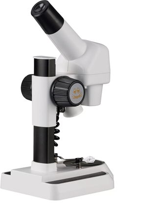 Attēls no DieMaus Incident Light Microscope