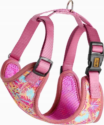 Изображение Dingo DINGO SZELKI BEZUCISKOWE M 1,5cm/39-51cm  JUNGLE