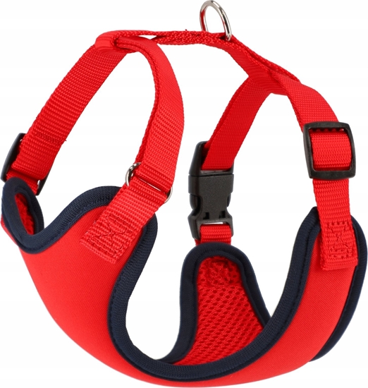 Изображение Dingo DINGO SZELKI BEZUCISKOWE XS               1,5cm/25-35cm CZERWONO-GRANATOWE