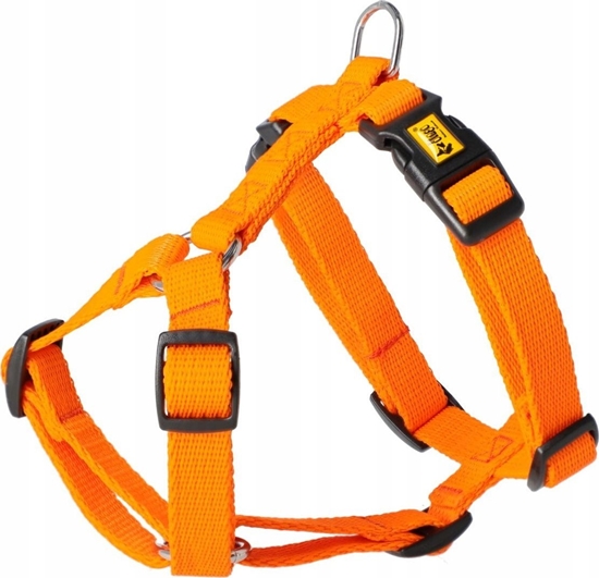 Picture of Dingo DINGO SZELKI ENERGY GUARD 1,6/24-45cm     POMARACZOWE