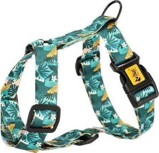 Picture of Dingo Dingo Szelki Guard Monstera L 3/55-100