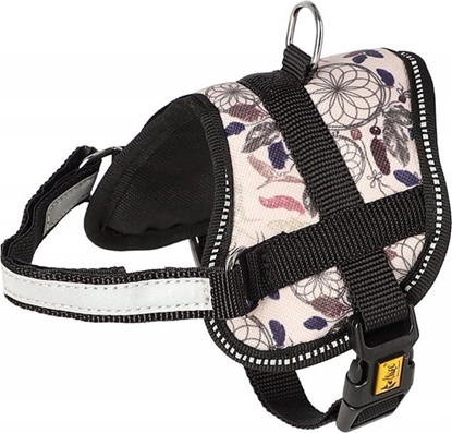 Attēls no Dingo DINGO SZELKI STRONG AMERICA 32/42cm GEORGIA