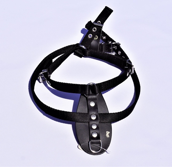 Picture of Dingo Szelki Z Tamy Do Tropienia Nr 1