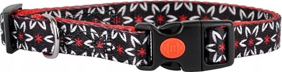 Picture of Dino DINO OBROA TAMA IVO 15mm/30-50cm KWIAT