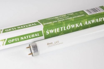Изображение Diversa WIETLÓWKA T8 NATURAL 36W