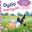 Изображение Dyzio marzyciel