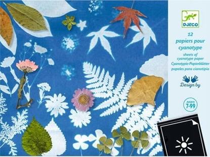 Attēls no Djeco Cianotipija - Cianotipijos popierius