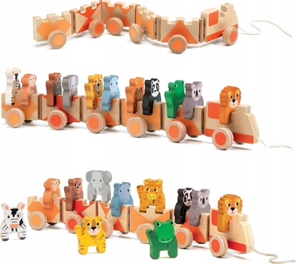 Attēls no Djeco Traukinukas - Treningowa dungla