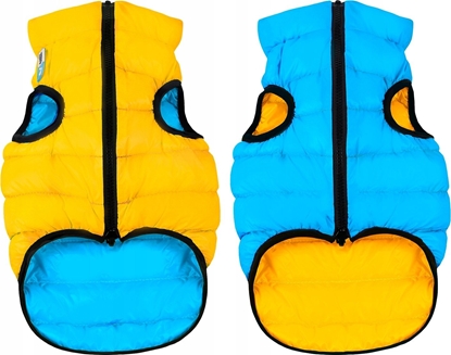 Picture of DOGGY L KURTKA DLA PSA DWUSTRONNA ÓTA + NIEBIESKA