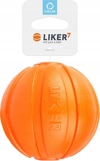 Изображение DOGGY LIKER 7