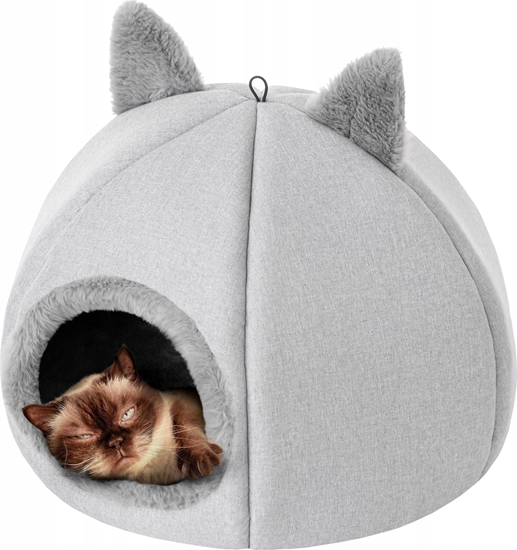 Изображение DOGGY R1 KITTY HEAD POPIELTY