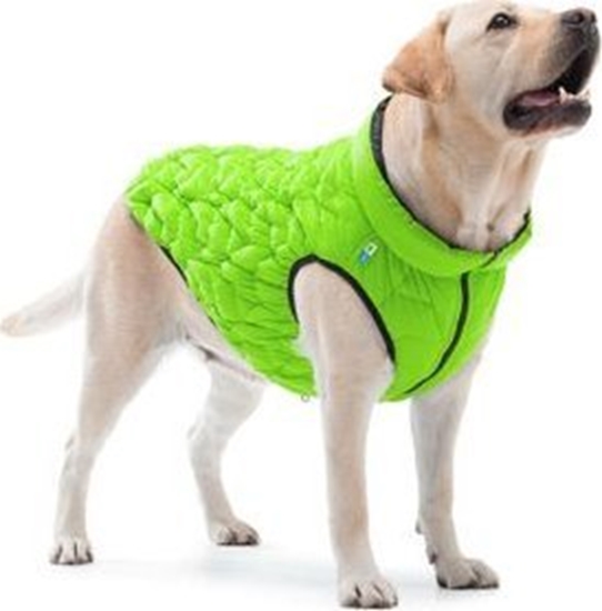 Picture of DOGGY XS 28 KURTKA UNI JASNOZIELONA