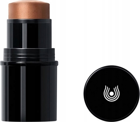 Изображение DR. HAUSCHKA_Lip To Cheek ró w sztyfcie 04 6,1g