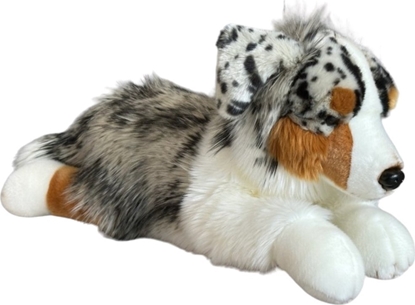 Attēls no Dubi Maskotka Pies Australijski Lecy Duy Pluszak 61cm Mikka Przytulanka Mi