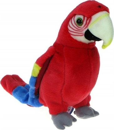 Изображение Dubi Papuga czerwona 25cm
