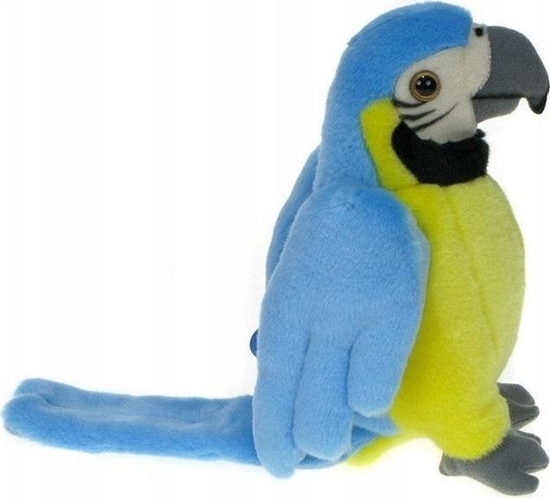 Изображение Dubi Papuga niebieska 25cm