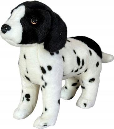 Attēls no Dubi Pies angielski pointer stojcy 28cm 32157