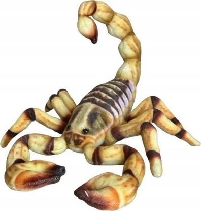 Picture of Dubi Skorpion 41cm