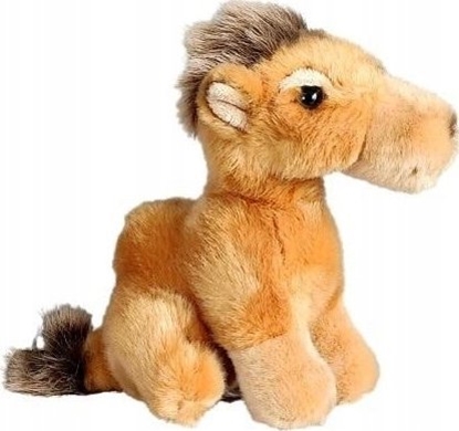 Picture of Dubi Wielb±d 19cm