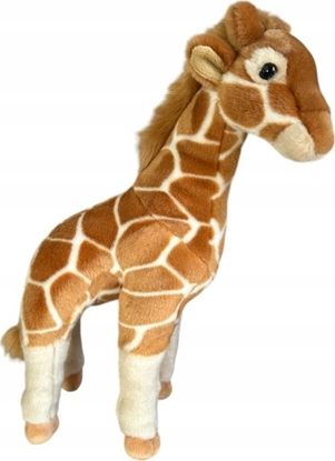 Attēls no Dubi yrafa 38cm stojca 32232