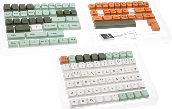 Picture of Ducky Dino Keycap Set, PBT, Dye-Sub - MDA