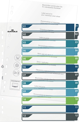 Picture of Durable DURABLE Register A4 + 12tlg. 1-12 farbige Taben+trans. Form.