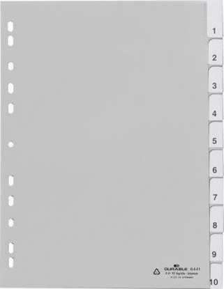 Picture of Durable DURABLE Blanko-Register PP blanko Taben 10-teilig grau