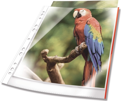 Изображение Durable DURABLE Prospekthüllen A4 oben offen 25 Stück glasklar, rot