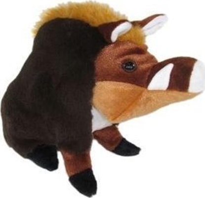 Picture of Dzik 35cm