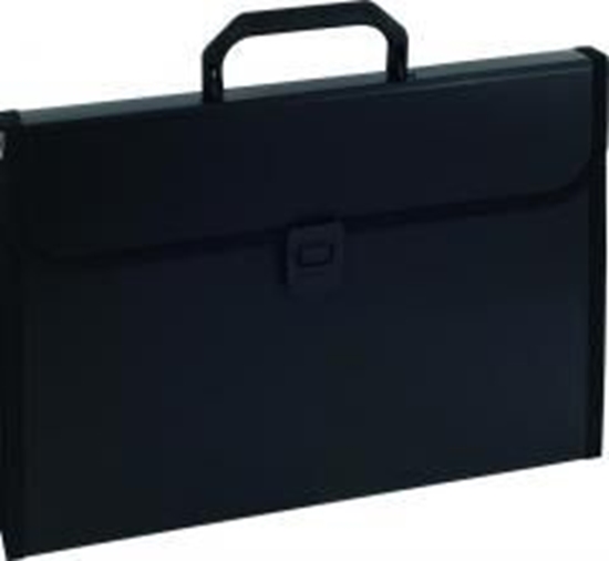 Picture of Eagle Aktówka z przekadkami z rczk EAGLE (198112)