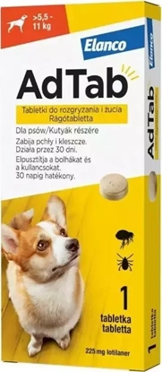 Attēls no Elanco AdTab Tabletka na Kleszcze i Pchy dla Psa 5,5-11kg 1szt