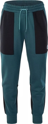 Picture of Elbrus Mskie spodnie Elbrus REGIN M000149880 deep teal/black rozmiar XL