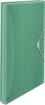 Picture of Esselte TECZKA Z PRZEGRÓDKAMI COLOUR`ICE ZIELONA