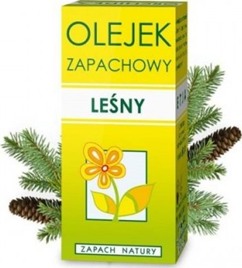 Picture of Etja Olejek zapachowy leny 10 ml ETJA