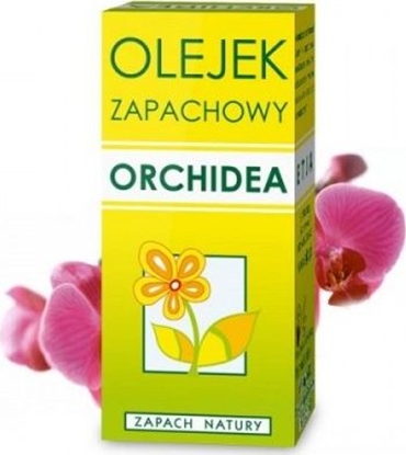 Attēls no Etja Olejek zapachowy róa 10 ml ETJA