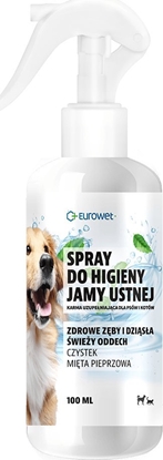 Attēls no EUROWET EUROWET SPRAY DO HIG. JAMY USTNEJ 100ml