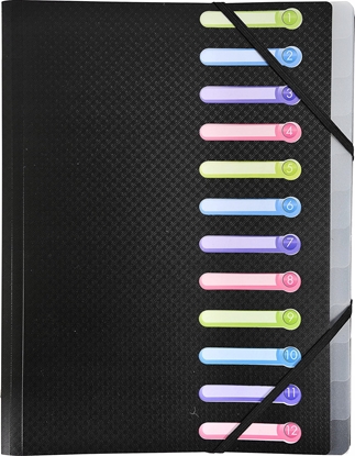 Изображение Exacompta Exacompta 55981E, Conventional file folder, Polypropylene (PP), Black, A4, 240 mm, 320 mm