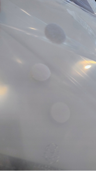 Picture of Exacompta Exacompta 57381E, 210 x 297 mm (A4), Polypropylene (PP)