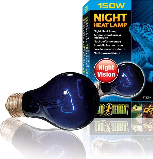 Изображение Exo Terra arówka Night Heat Lamp, 150W