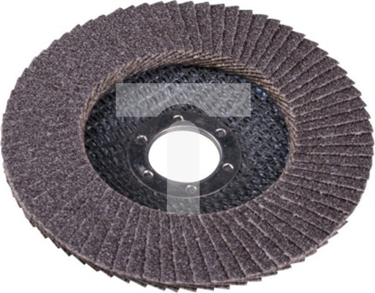 Attēls no EXPERT CIERNICA LISTKOWA TALERZOWA 115 GR.60 FLAT [EXPERT] - 10sz