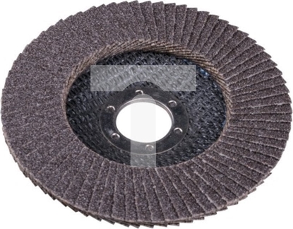 Picture of EXPERT CIERNICA LISTKOWA TALERZOWA 125 GR. 100 FLAT [EXPERT] - 10sz