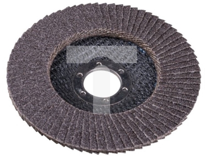 Picture of EXPERT CIERNICA LISTKOWA TALERZOWA 125 GR. 80 FLAT [] - 10sz