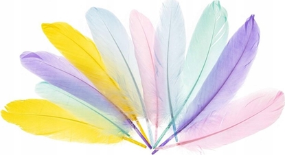 Изображение FANDY Piórka gsie 15-20cm pastelowe
